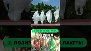 Привычки, которые были у людей в СССР
