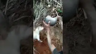 Essa é a felicidade do caçador!!!