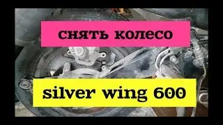 How to remove the rear wheel of a Silver Wing 600. (instructions).