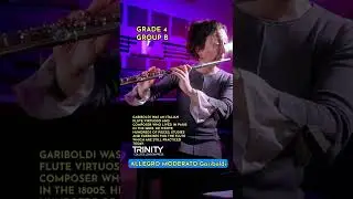 Are you Grade 4 Flute or Higher? Part 2...