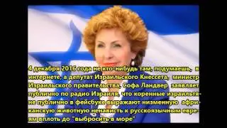 Отношение коренных израильтян к русскоязычным евреям в Израиле