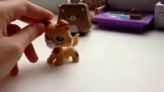 Жизнь Николь-1 серия ( переезд) ;(