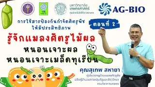 รู้จักแมลงศัตรูไม้ผล : หนอนเจาะผล หนอนเจาะเมล็ดทุเรียน
