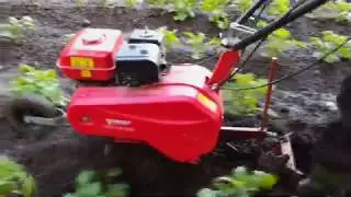 окучивание картофеля культиватором легко, супер насадка на фрезы
