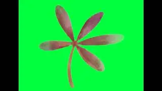 green screen water painting animation for free || Free Best Green Screen Effects