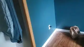 the last video of my house