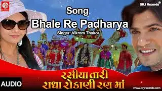 Rasiya Tari Radha | રસિયા તારી રાધા રોકણી રણમા | Gujrati Song | Vikram Thakor, Mamta Soni