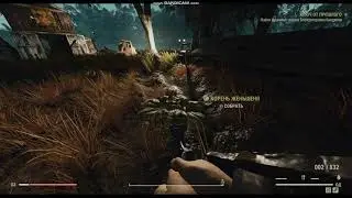 Fallout76 где найти корень женьшеня