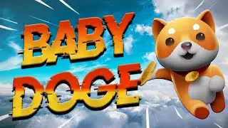 Le babydoge monte en flèche!