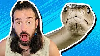 Mi è Scappato un SERPENTE! - Mattinate con Michele