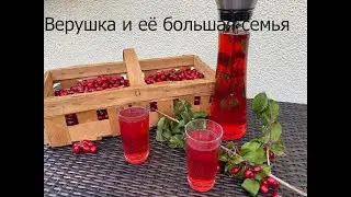 What to do with dogwood? Compote, jam, pie filling from the healthiest berry!/Kornelkirsche