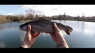 Lake fly fishing for rainbow trout