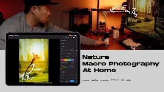 How to shoot Macro Photography at home | Easy!
