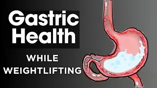 Weightlifting & Gastric Health: Tips for a Balanced Workout