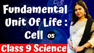 Cell : Fundamental Unit of Life | Biology Class 9 by Shivi Ma'am | L5 | Virtual Vidya