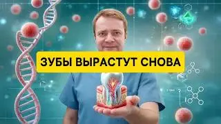 НОВЫЕ ЗУБЫ вместо ИМПЛАНТОВ: как работает регенерация зубов.