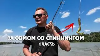 ЗА СОМОМ на ВЕЛИКЕ | Со спиннингом за сомом в наводнение 1 часть | видеодневник сомятника