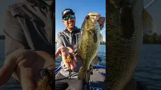 Wheeler's #1 Lure for Catching Bass Year Round