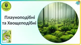 Плауноподібні та Хвощеподібні