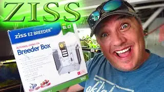 ZISS BL-2T BREEDER BOX (HANDS ON REVIEW)