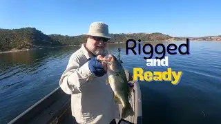 Have a DROPSHOT Rigged and Ready this Fall