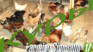 Farming Simulator 2017 | Полезности и КУРЫ | ГДЕ ИХ ИСКАТЬ?!