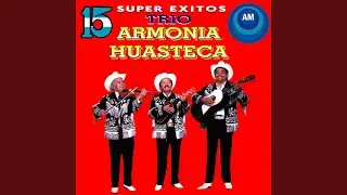 Mi Zimapán