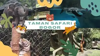 Main ke Taman Safari Bogor Cocok Buat Rekreasi Keluarga