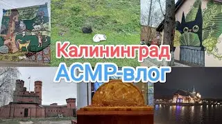 АСМР Влог: Калининград, Зеленоградск
