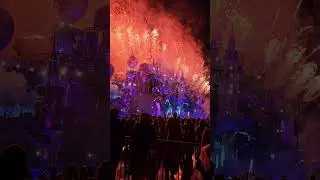 Tomorrowland Belgium is one of a kind #shorts #Tomorrowland