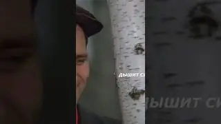 Здорово,кума...