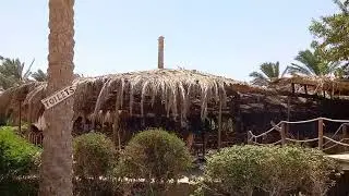 Egypt 2023.Read Sea. Safaga.  Sharm el naga lodge. Место силы и уединения.Египет 2023.