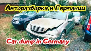 Авторазборка в Германии.  Car Dump in Germany.