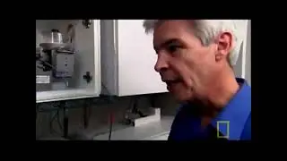 Mice on Meth