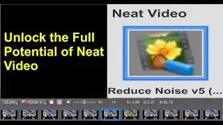 The Importance of Frame Count for Neat Video Users