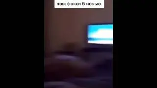 пов фокси 6 ночью