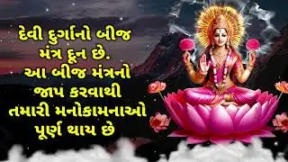 દેવી દુર્ગાનો બીજ મંત્ર દૂન છે  આ બીજ મંત્રનો જાપ કરવાથી તમારી મનોકામનાઓ પૂર્ણ થાય છે.