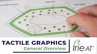Tactile Graphics for Blind Students: General Overview of Products