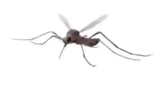 MMMMMMMMMMMMMM