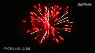 SUF 03501 2012 Назад в будущее