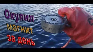 поисковый магнит #11 Окупил магнит за день