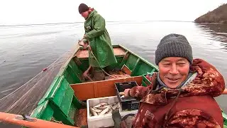 Fishing. Part 1 | With the field!