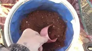 Немецкие озера. Карась прет...24.04.22г.