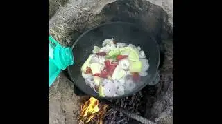 жаркое из фазан | на природе | охота на фазан