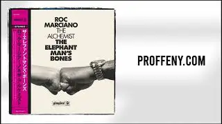 (SPECIAL) DIGGS Vol.5 | Hard Griselda Sample Pack | Roc Marciano Sample Pack (Dark/Soulful/Vintage)