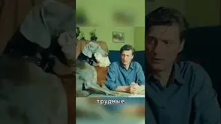 Пёс-герой спасал людей даже во время войны 🐺❤️ #shorts