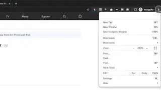 Chrome Extension Icon Hidden Where Is The Extension Popup