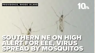 Southern New England on high alert for EEE (Eastern Equine Encephalitis) spread by mosquitos