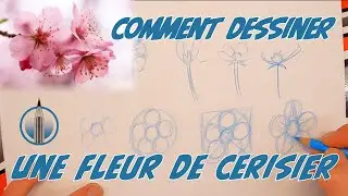 [DESSINER-FACILE] Techniques de dessin fleur de cerisier facile pour débutant