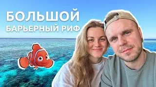 ВЛОГ: Барьерный Риф